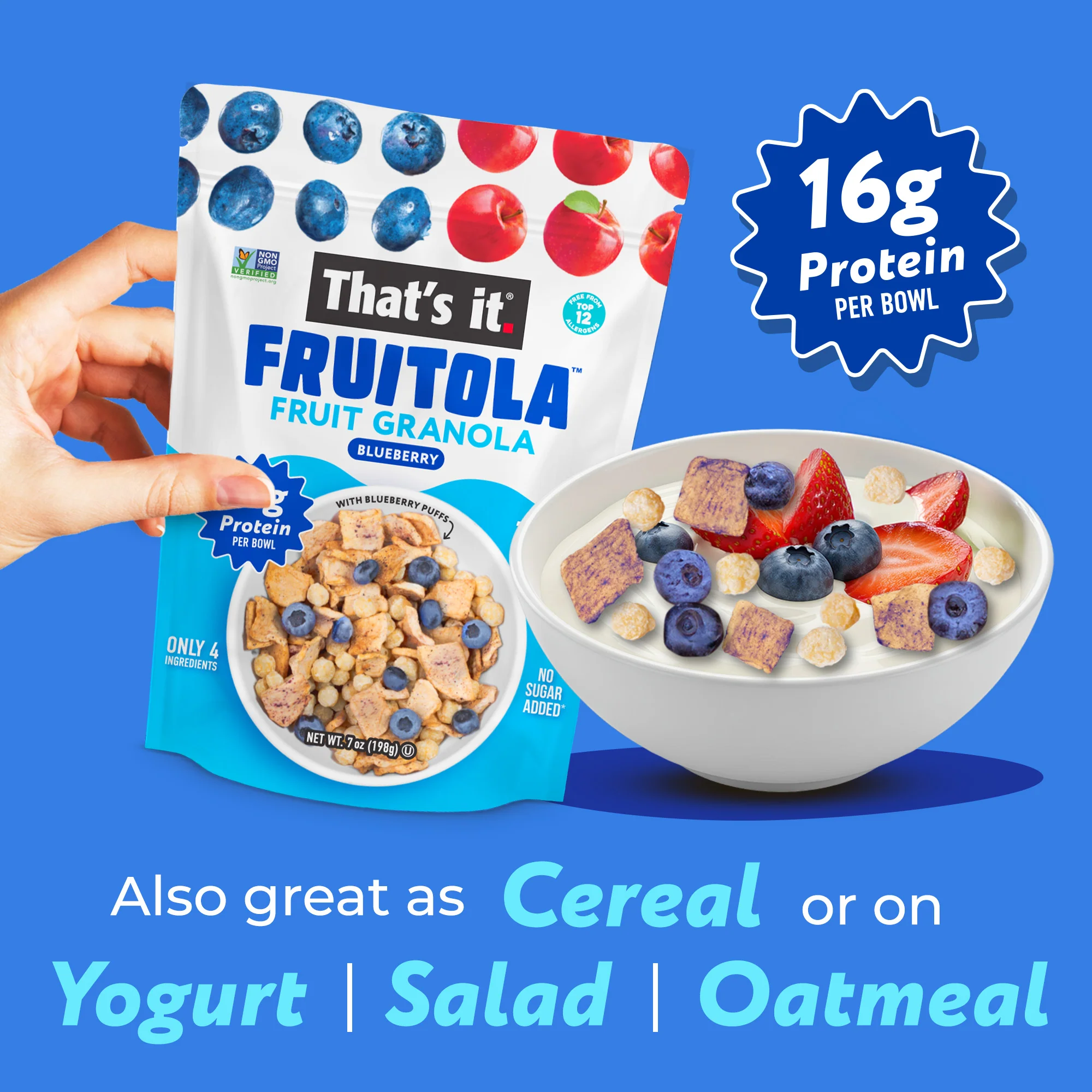 Blueberry Fruitola Fruit Granola (3 Packs) - 7oz - Image 4
