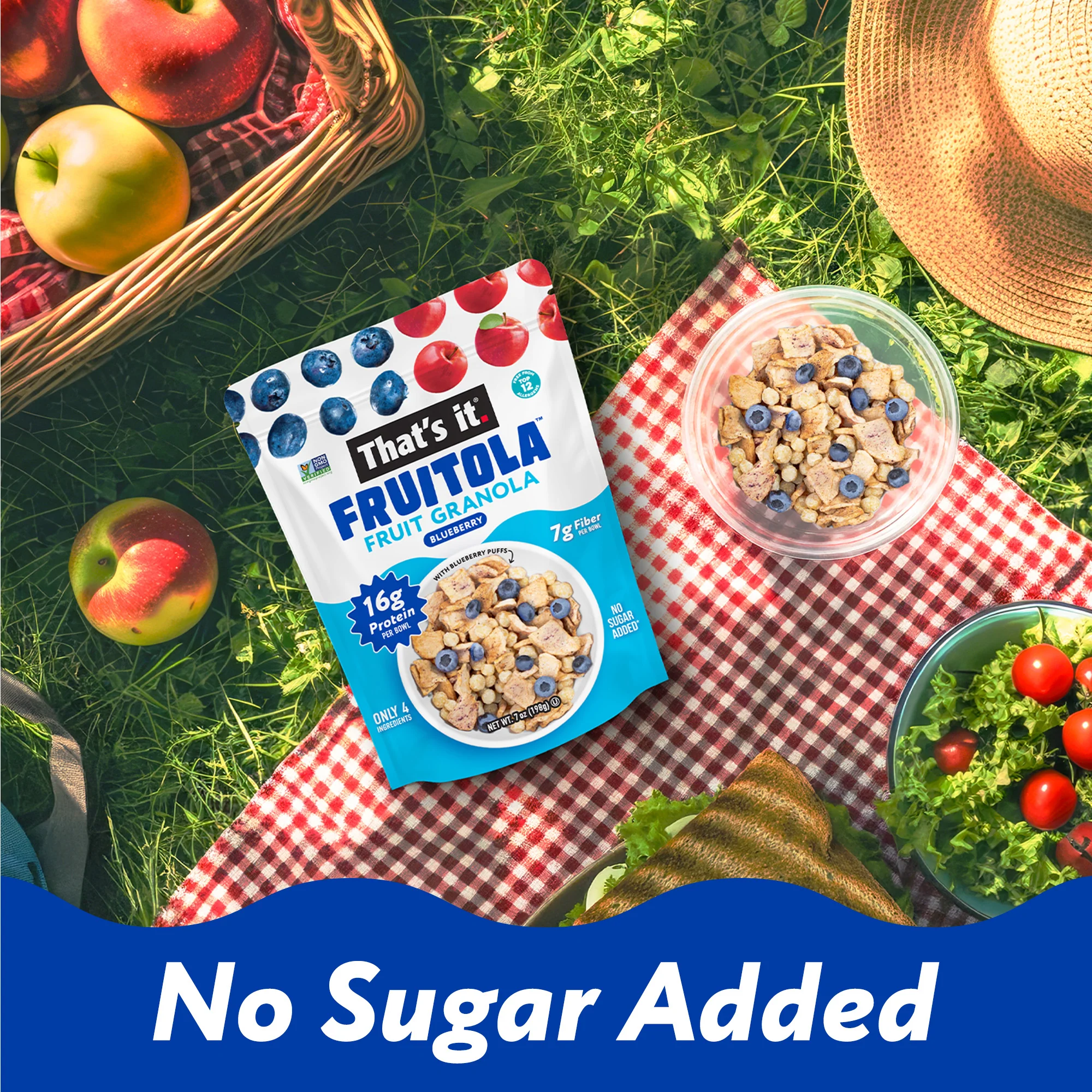Blueberry Fruitola Fruit Granola (3 Packs) - 7oz - Image 6