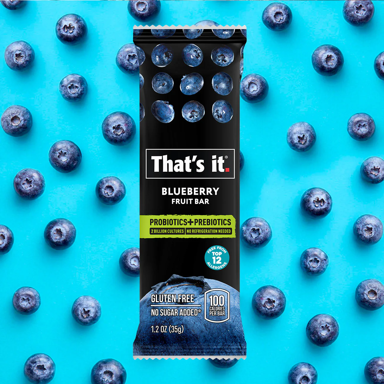 Blueberry Probiotic Fruit Bars - Image 5