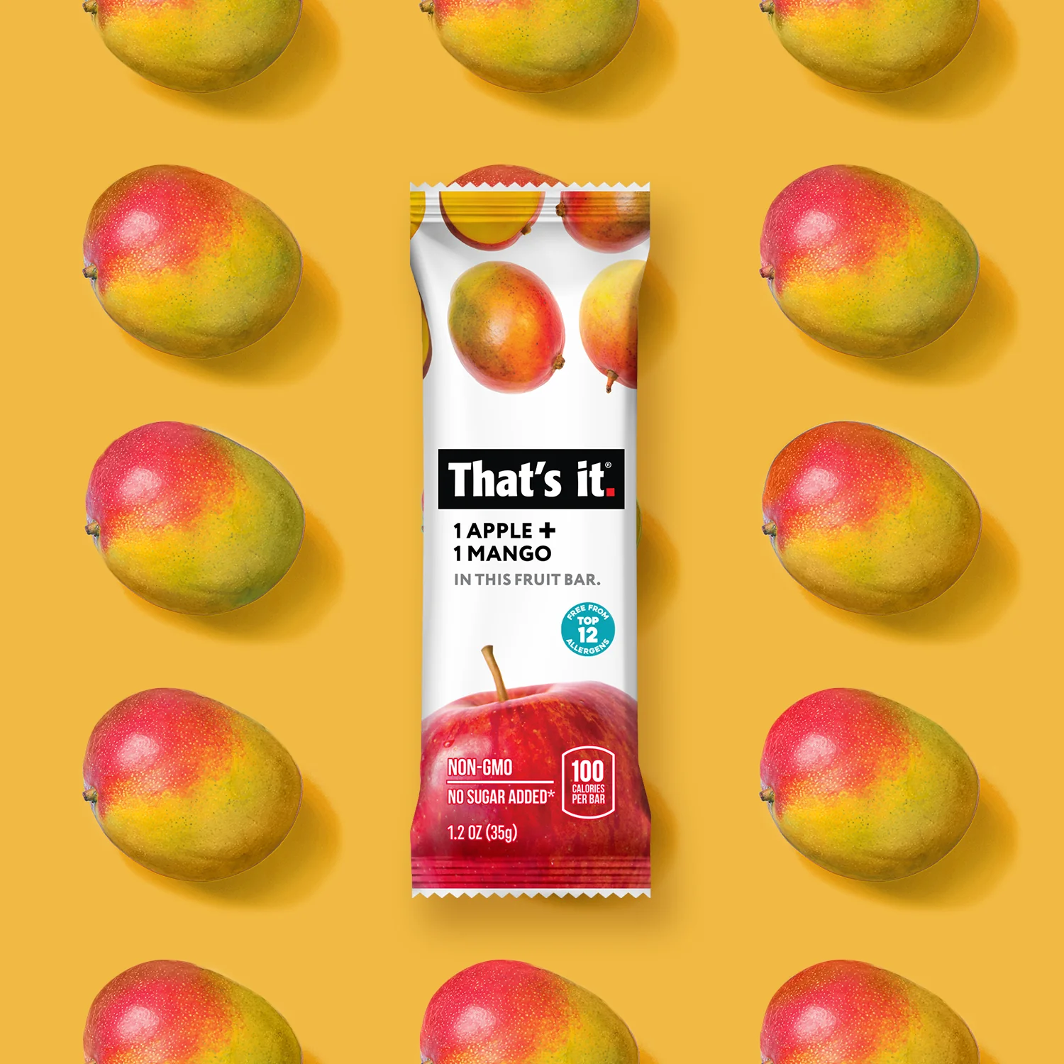 Fruit Bar Variety Pack - Blueberry, Mango & Strawberry (12 Bars) - Image 5