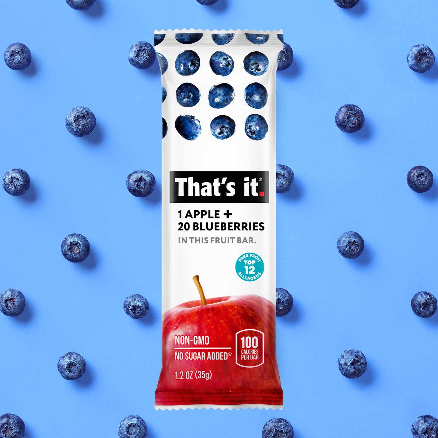 Fruit Bar Variety Pack - Strawberry & Blueberry (12 Bars) - Image 6